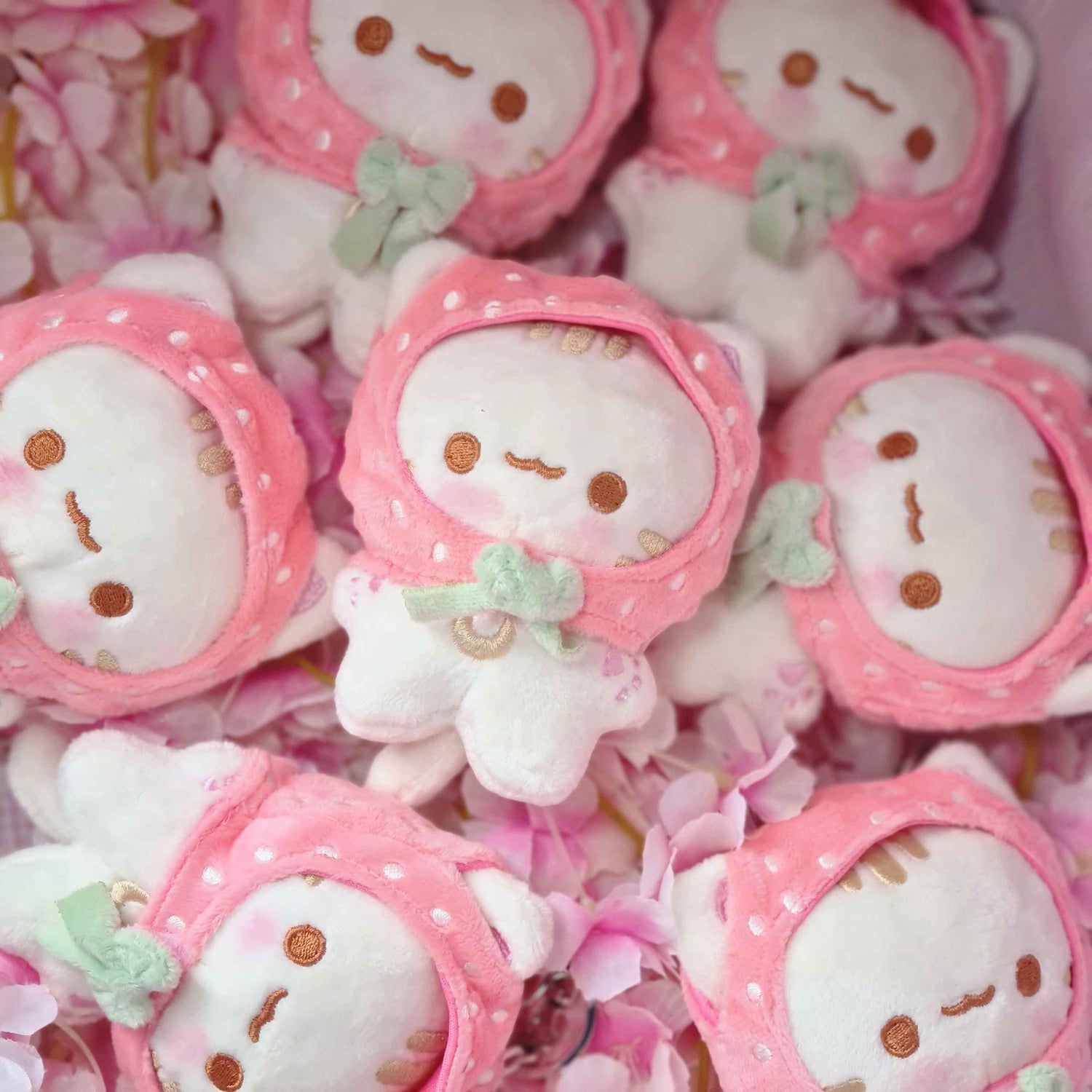 ⋆.˚ Kiki The Strawmew ⋆.˚